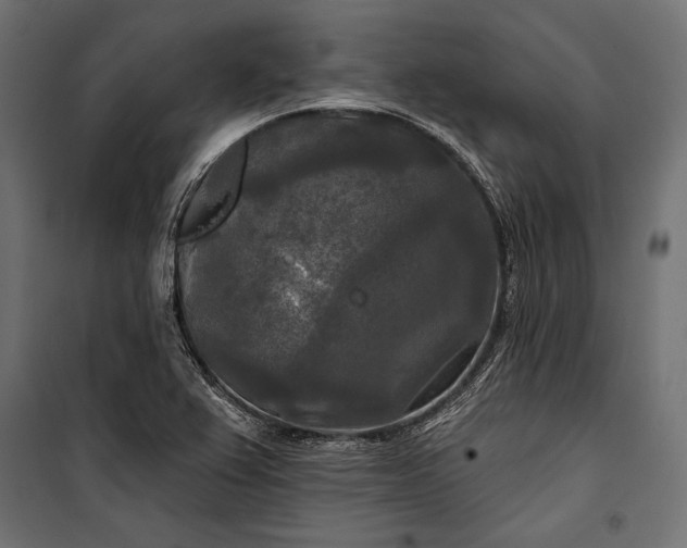 X0000100331367200806191058