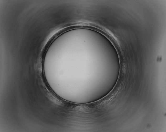 X0000100331368200806191058