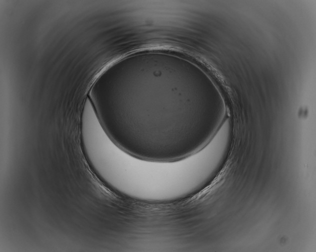 X0000100331369200806191058