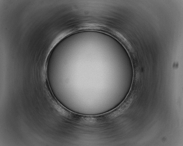 X0000100331370200806191058