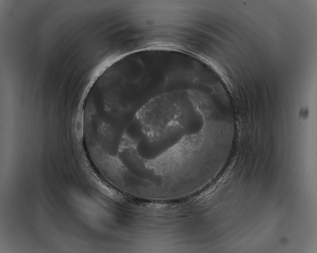 X0000100331371200806191058