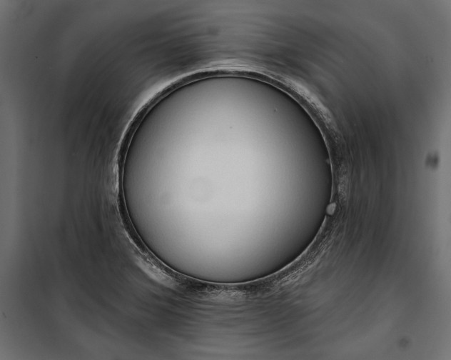 X0000100331372200806191058