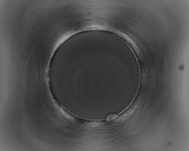 X0000100331373200806191058