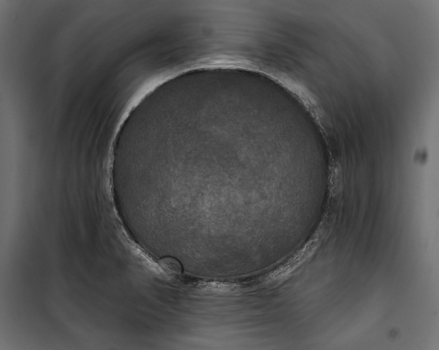 X0000100331374200806191058