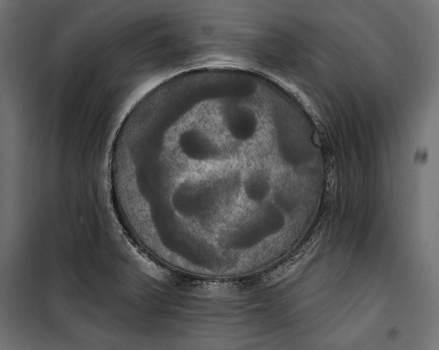 X0000100331375200806191058