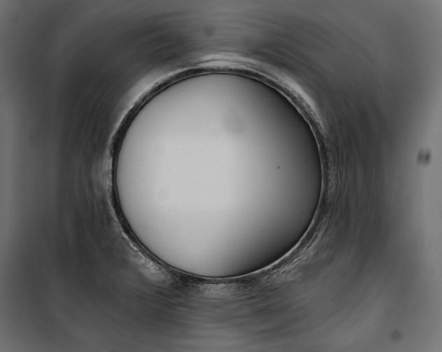 X0000100331376200806191058