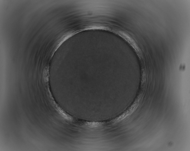 X0000100331377200806191058