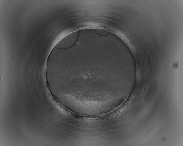 X0000100331378200806191058