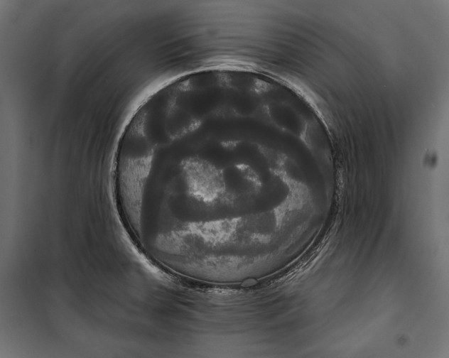 X0000100331379200806191058