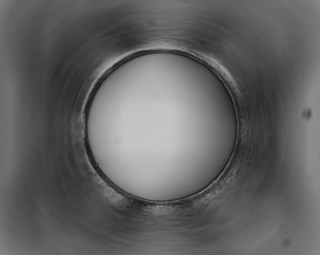 X0000100331380200806191058