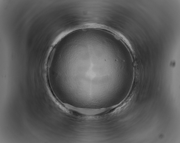 X0000100331381200806191058