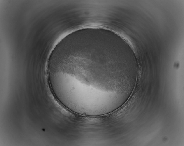 X0000100331382200806191057