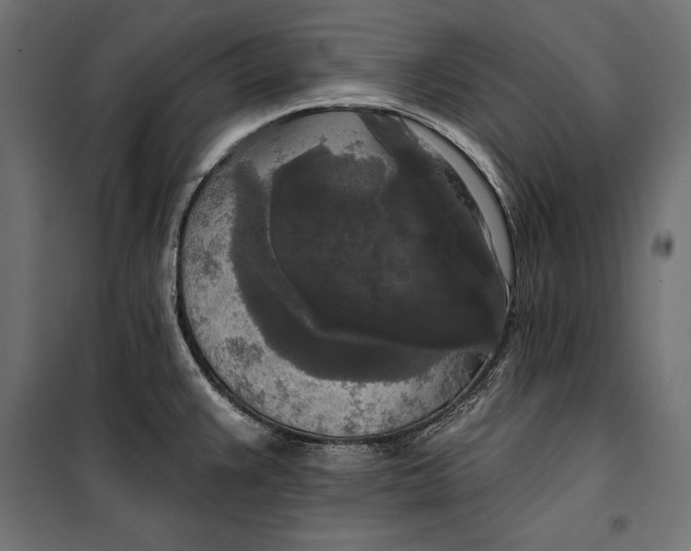 X0000100331383200806191057