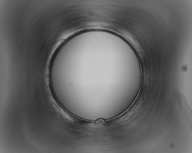 X0000100331384200806191057