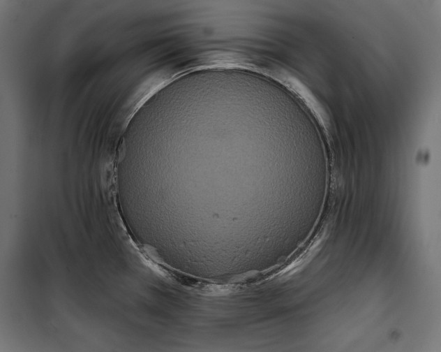 X0000100331385200806191057