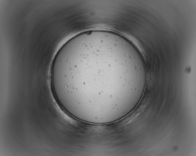 X0000100331387200806191057