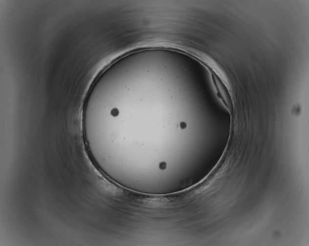 X0000100331388200806191057