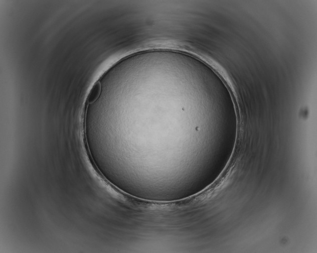 X0000100331389200806191057