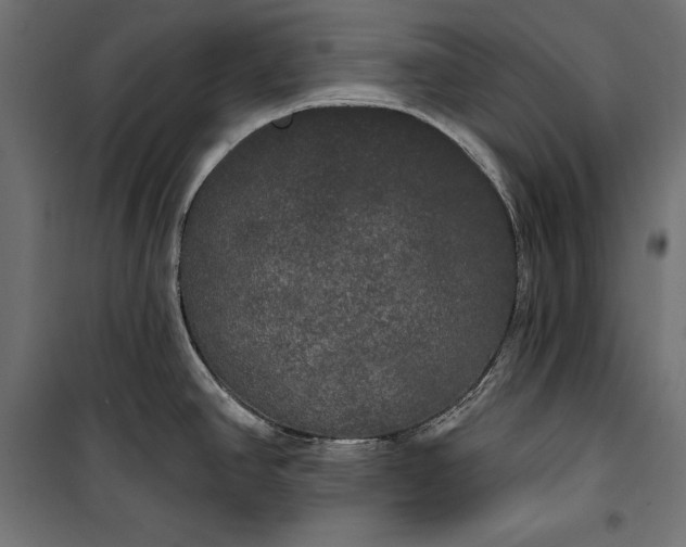 X0000100331390200806191057