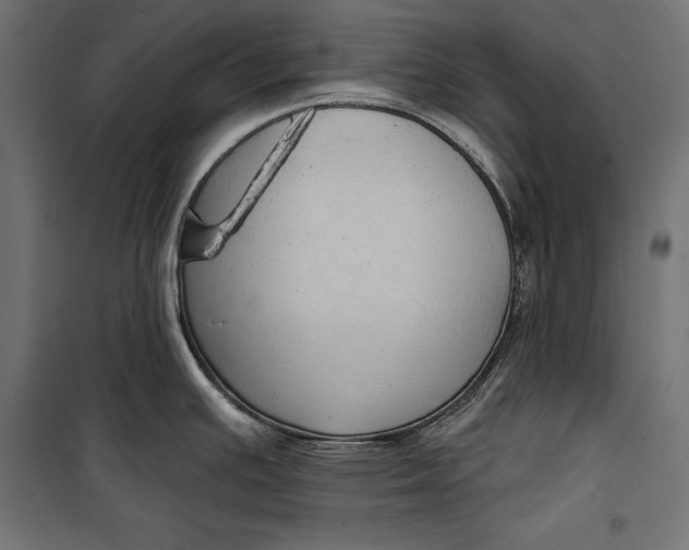 X0000100331391200806191057