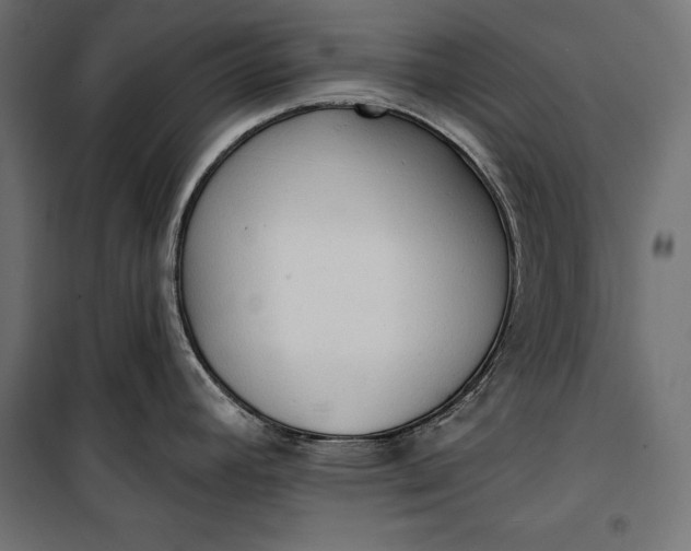 X0000100331392200806191057