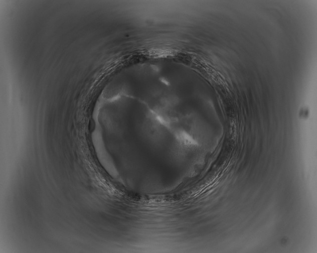 X0000100331393200806191057