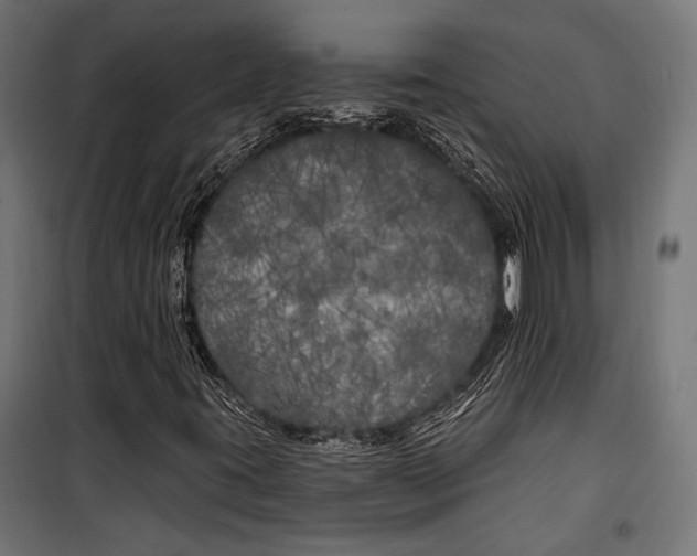 X0000100331395200806191057