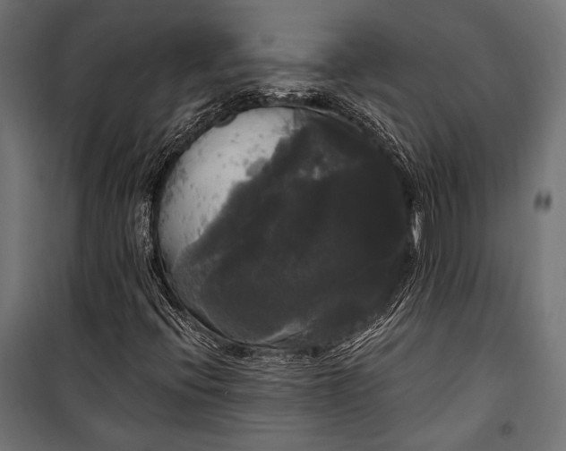 X0000100331396200806191057