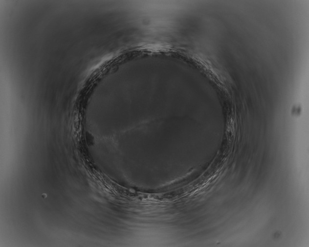 X0000100331398200806191057