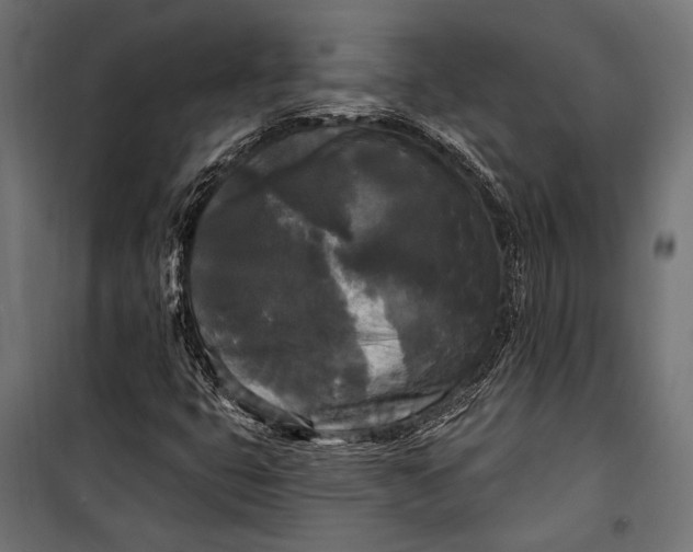 X0000100331399200806191057