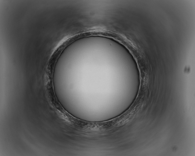 X0000100331400200806191057