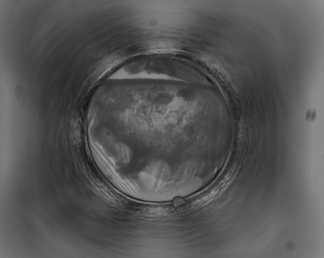 X0000100331401200806191057