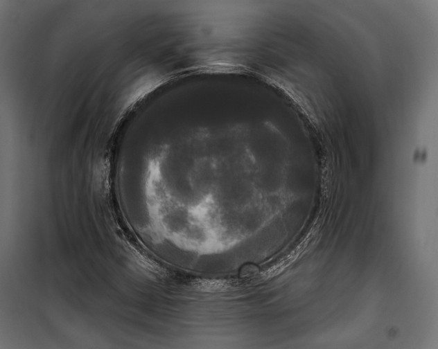 X0000100331402200806191057