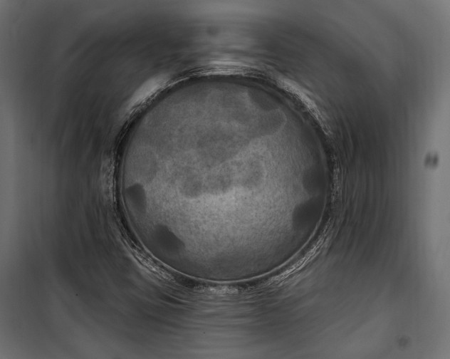 X0000100331403200806191057