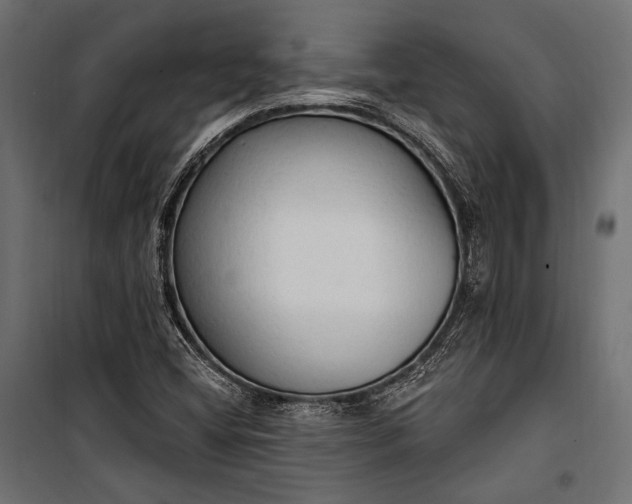 X0000100331404200806191057