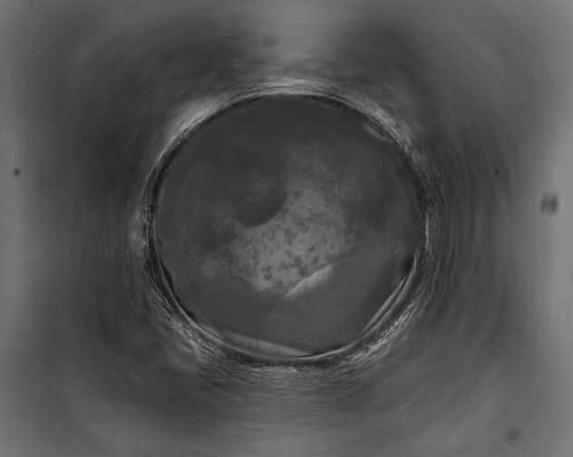 X0000100331405200806191057