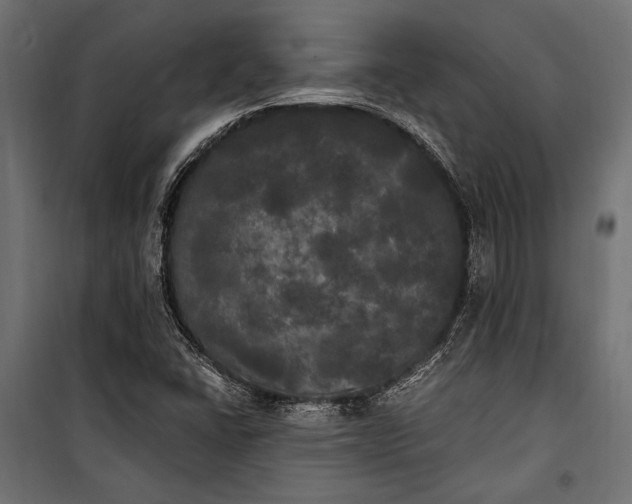 X0000100331406200806191057