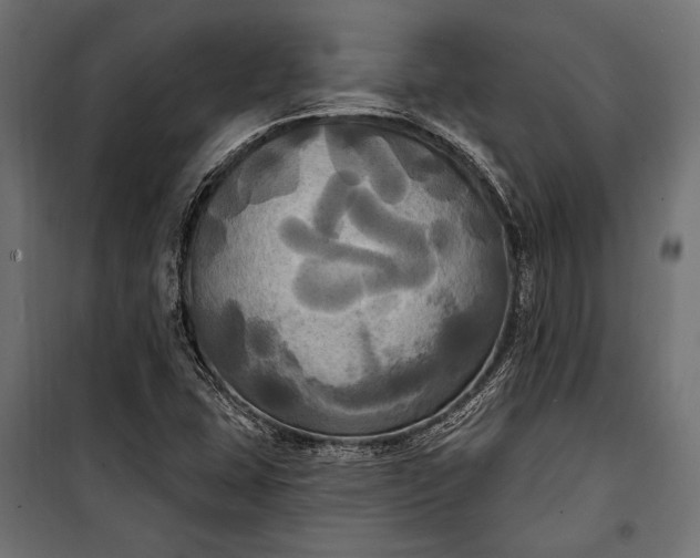 X0000100331407200806191057