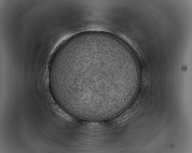 X0000100331408200806191057