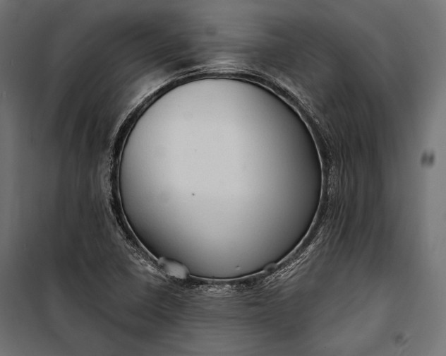 X0000100331410200806191057