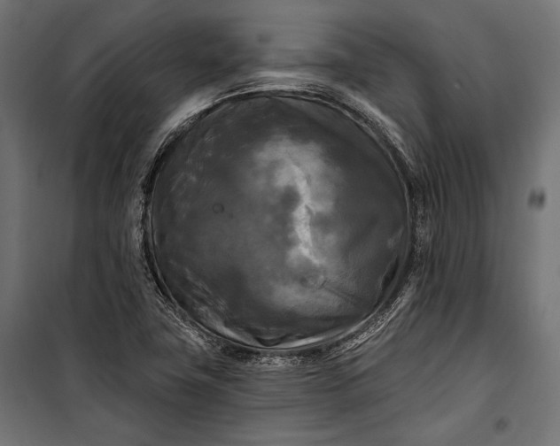 X0000100331411200806191057