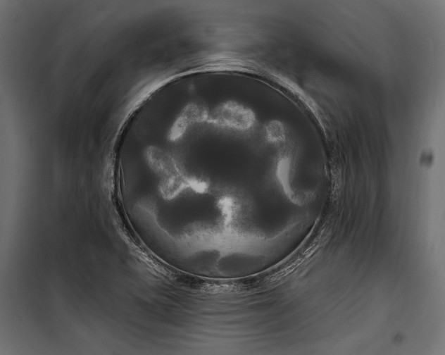 X0000100331415200806191057