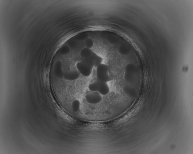 X0000100331417200806191057