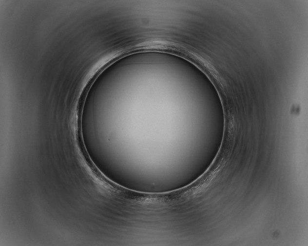 X0000100331418200806191057