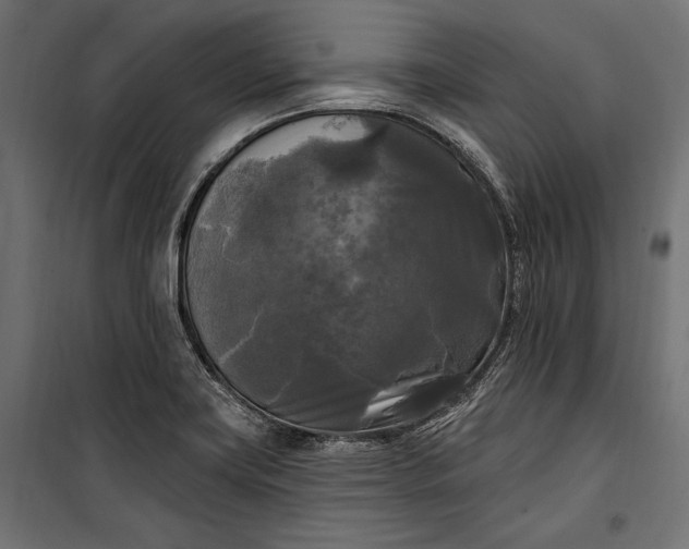 X0000100331419200806191057