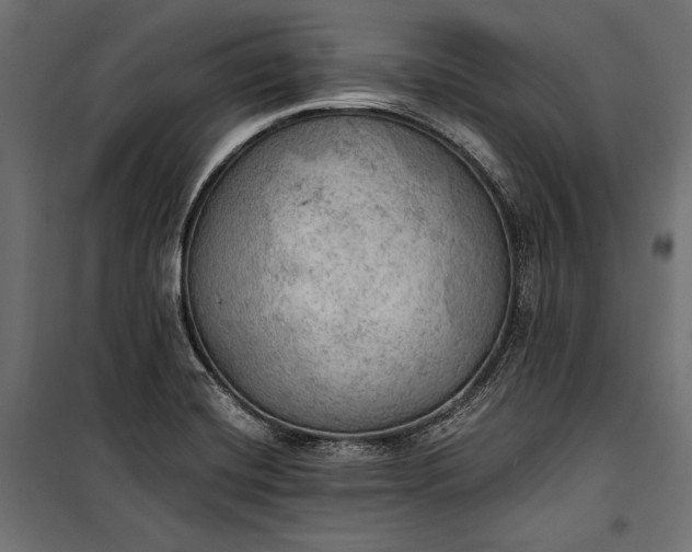 X0000100331420200806191057