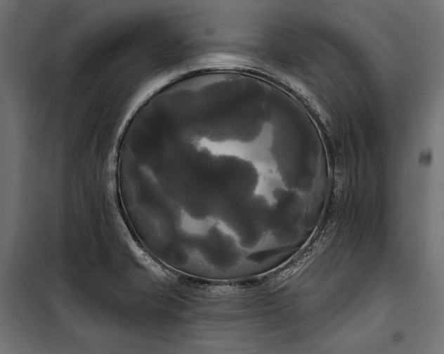 X0000100331421200806191057