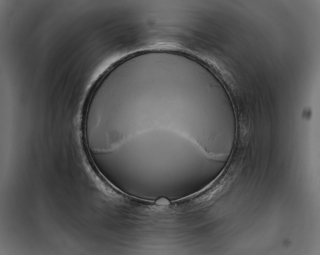 X0000100331422200806191057