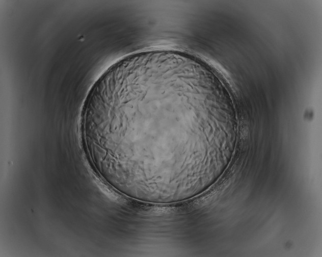 X0000100331423200806191057