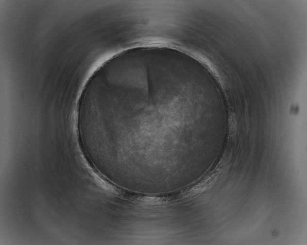 X0000100331424200806191057